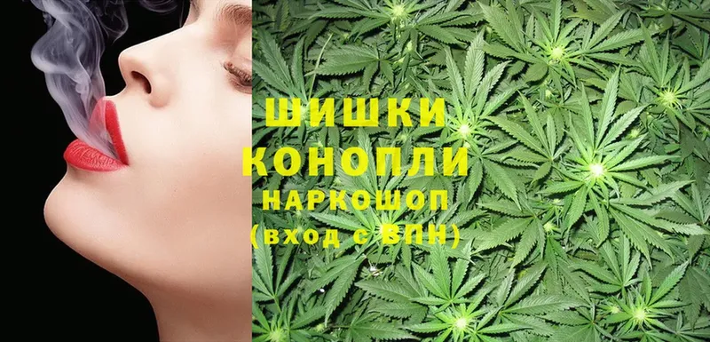 Бошки марихуана Ganja  где купить наркотик  Жиздра 